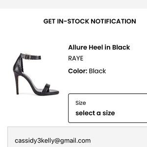 Raye Allure Heels
Black stilletos